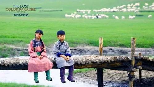 阳光下的少年之我的无色世界,我的成长轨迹